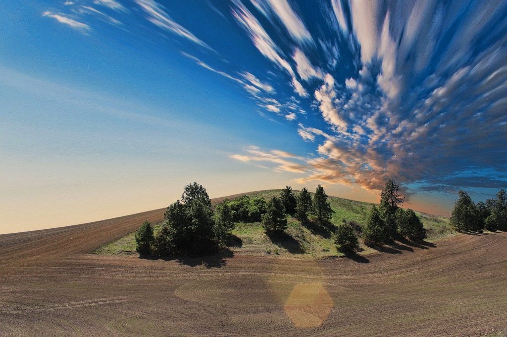 farmland, field, soil